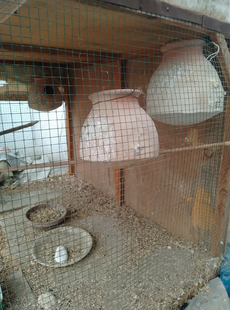 wood cage — photo 2