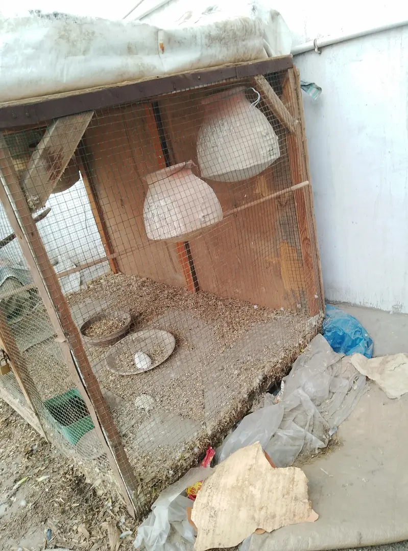 wood cage — photo 4