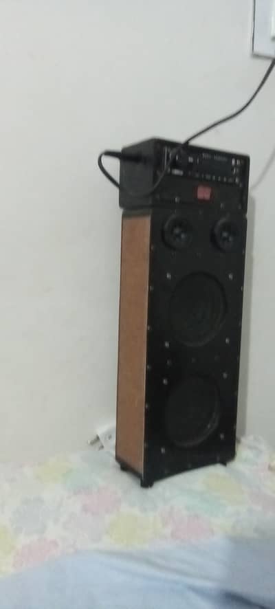 For sale:2-in-1power speaker system -220v+12v bettery option