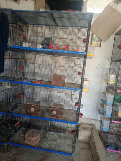 Cages available for sale