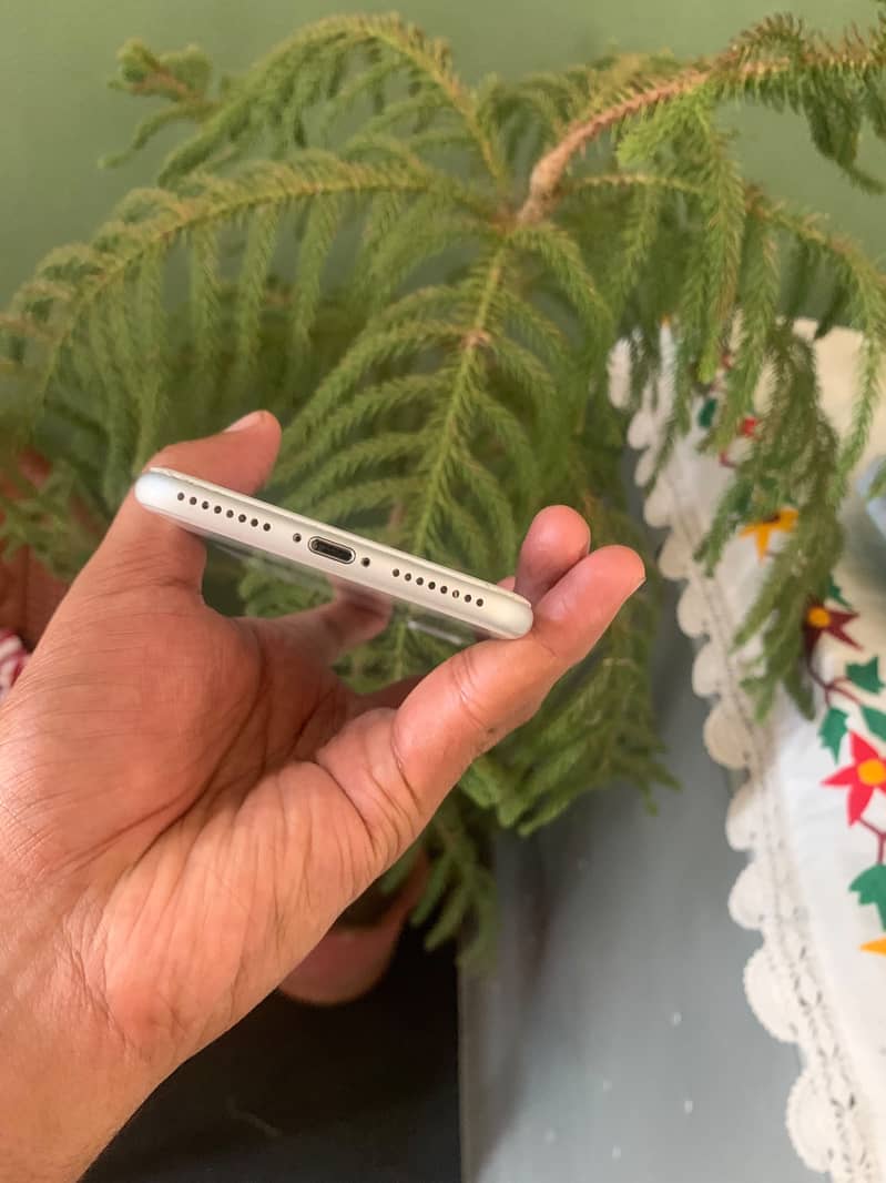 iPhone 8Plus 1