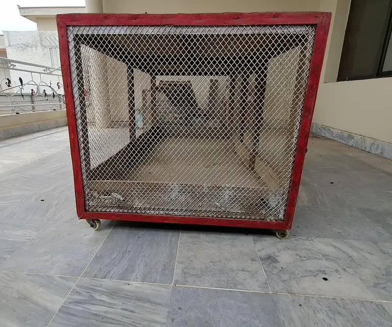 Wood Cage — photo 3