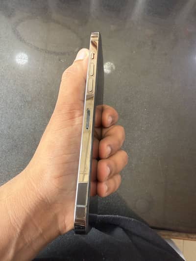 iPhone 12 Pro Max dual sim pta approved