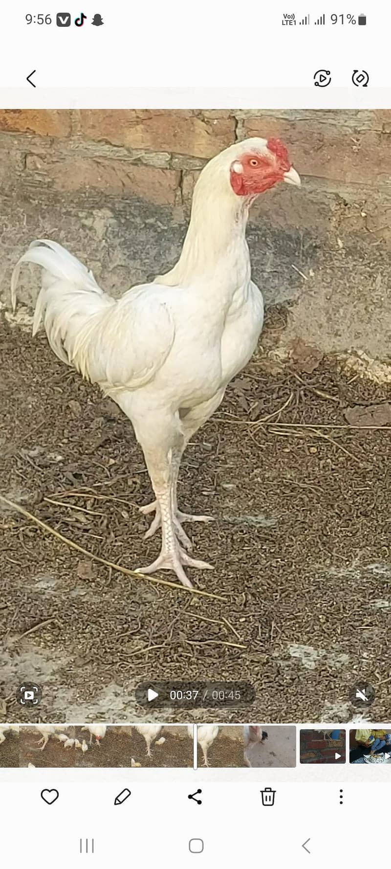 heera 0