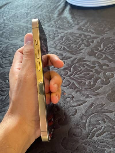 Apple iPhone 13 Pro