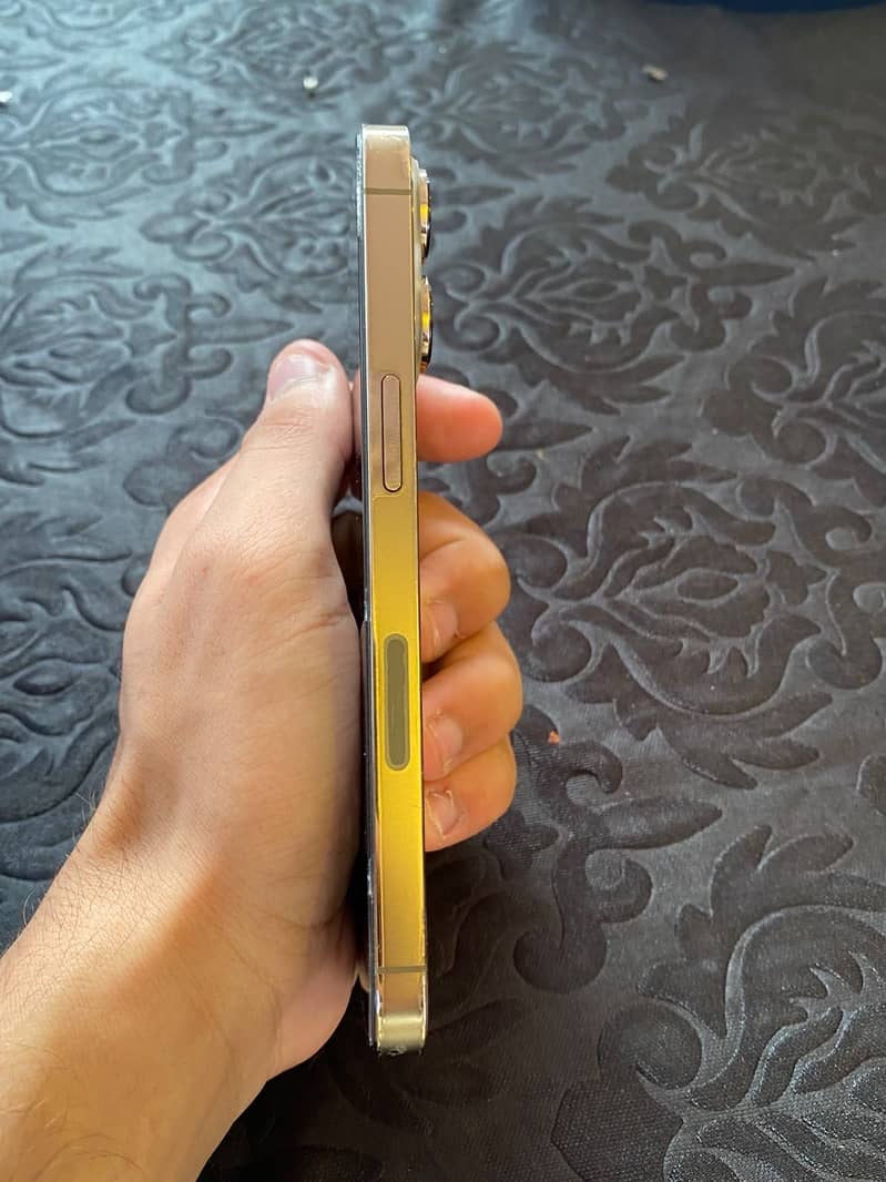 Apple iPhone 13 Pro 1