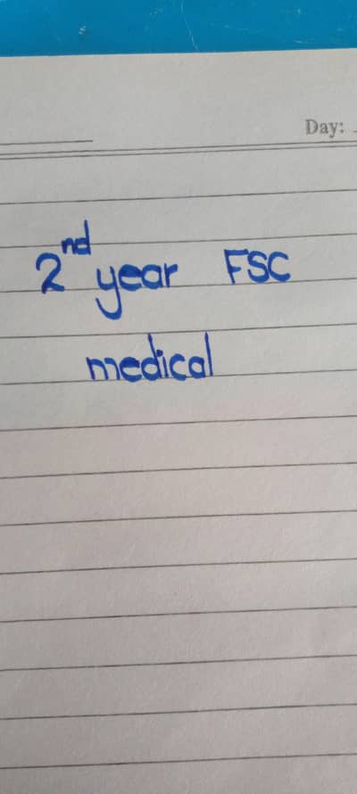 Assignment writing