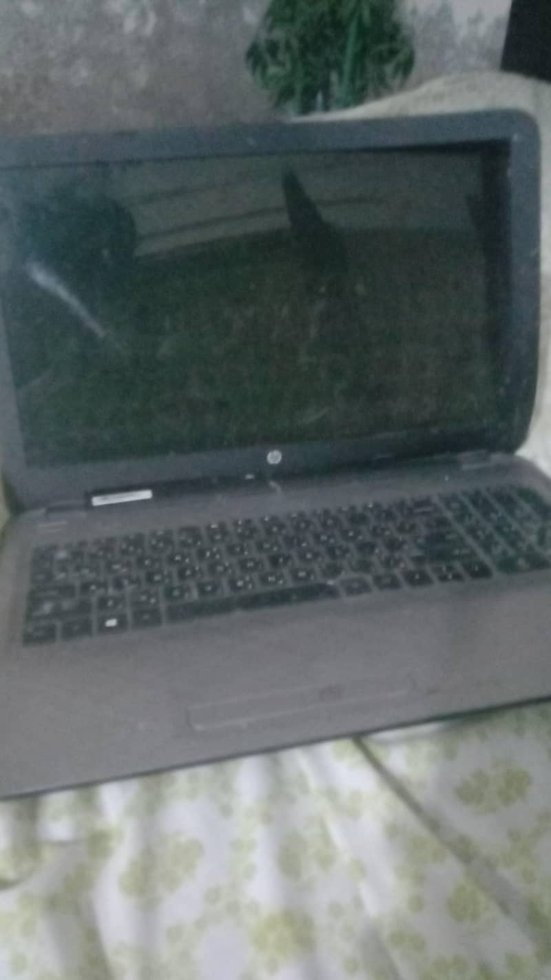 ho Intel core i3 screen damage 1