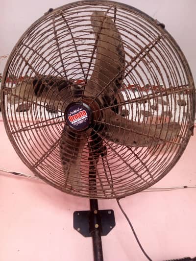 ornate fan sale
