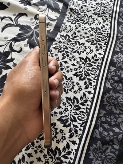 Apple iPhone 16 Pro Max non pta