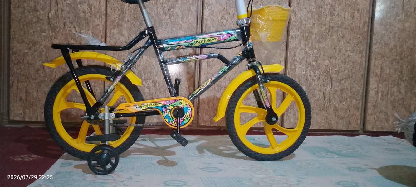 bycycle 1