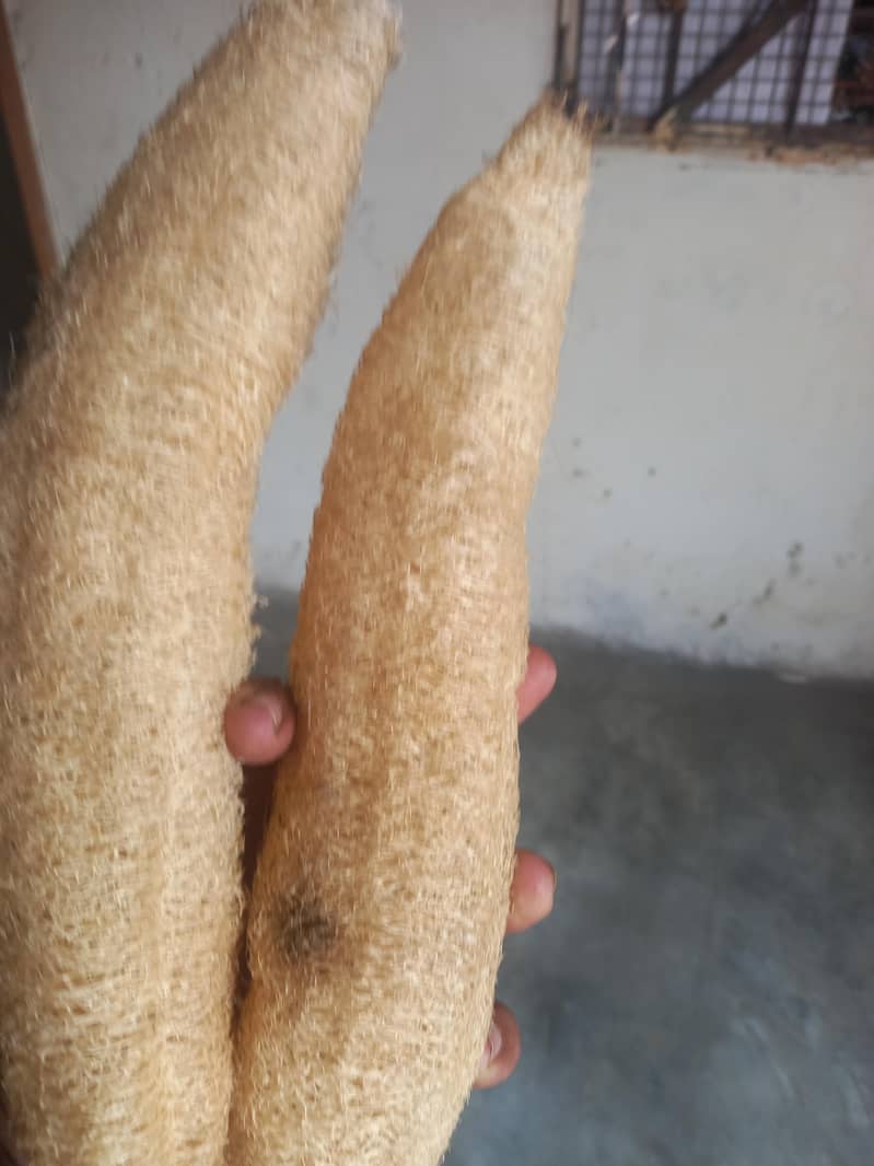available 0
