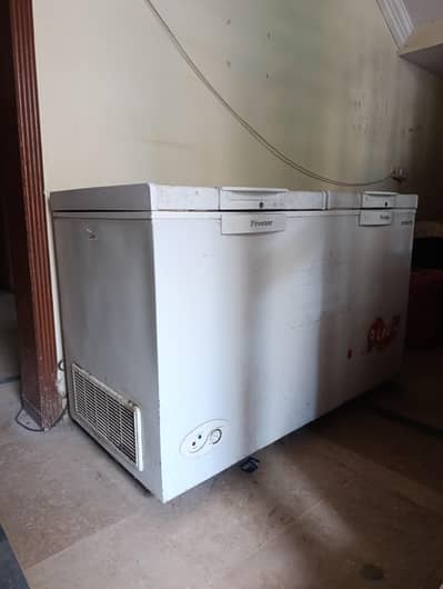 D- freezer