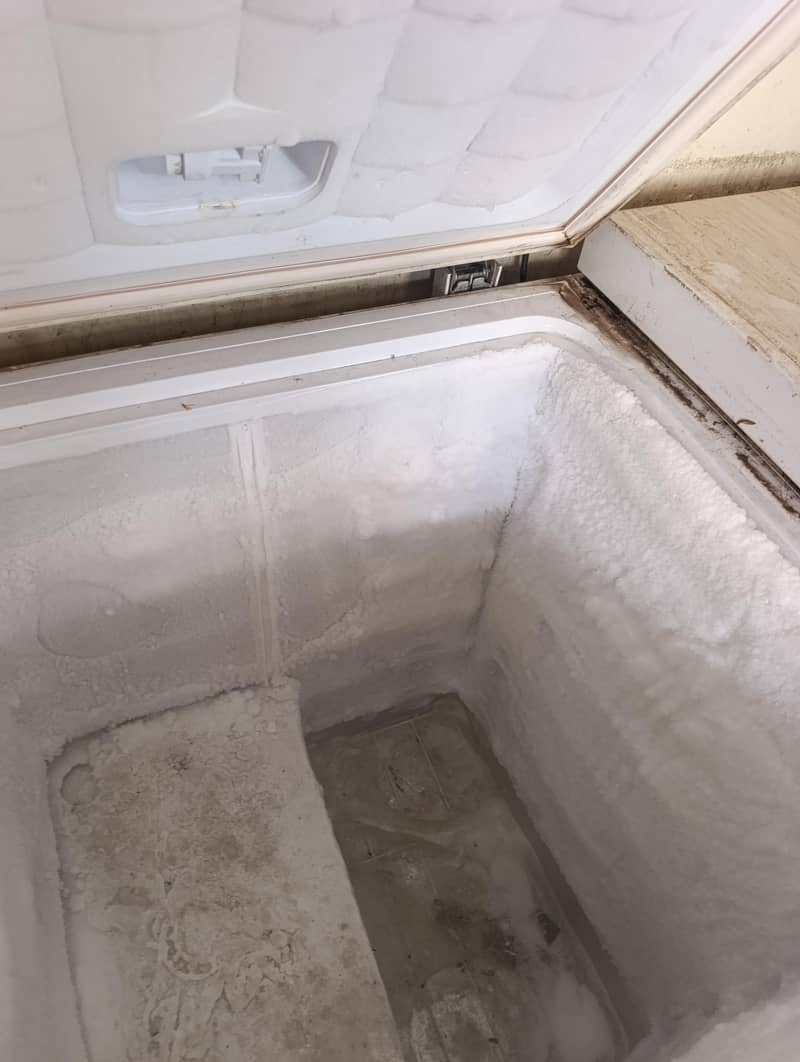 D- freezer 1