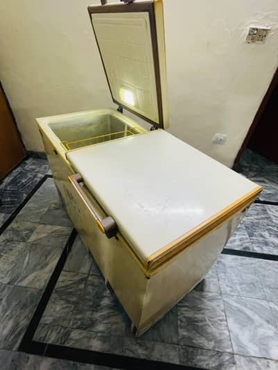 waves deep freezer