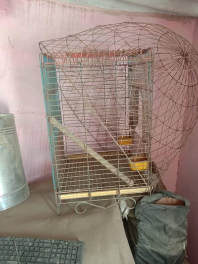 cages