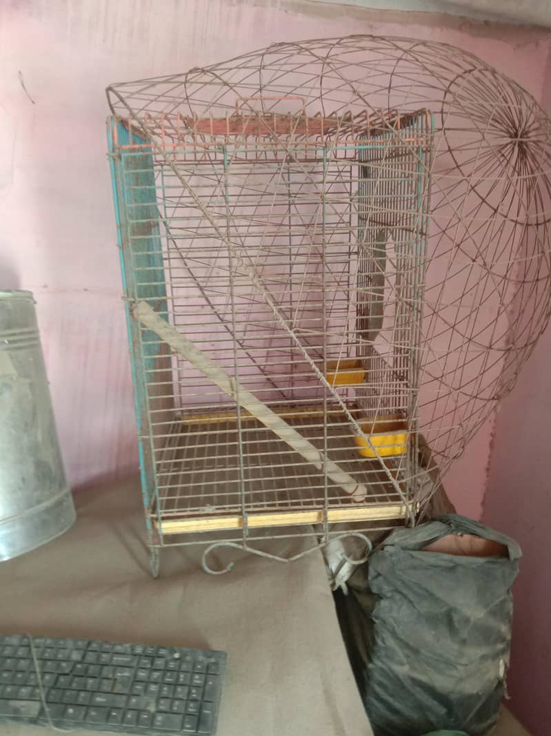 cages 1