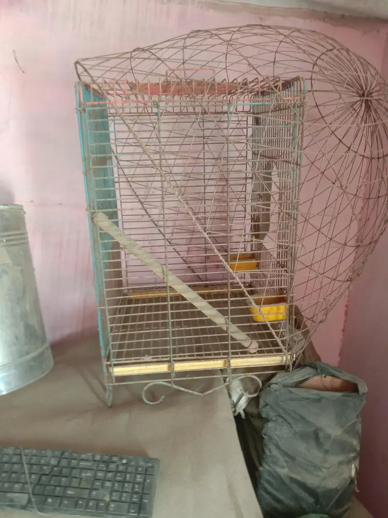 cages — photo 2