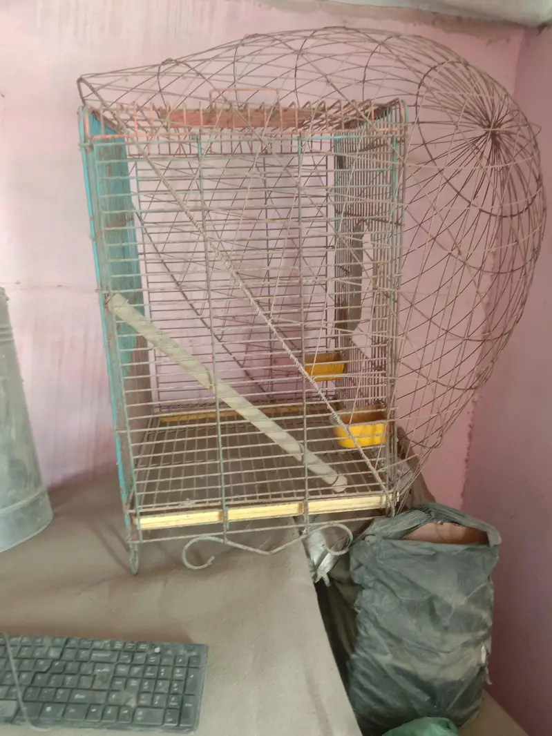 cages — photo 3