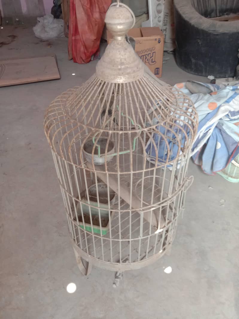 cages 4