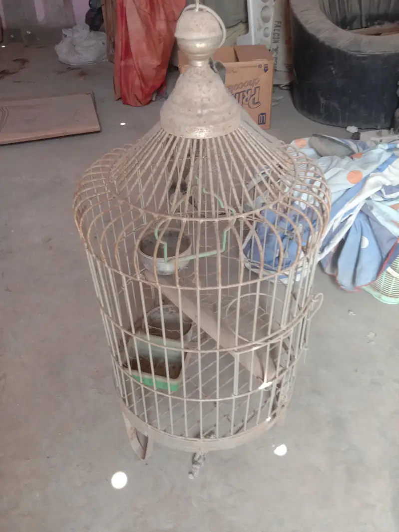 cages — photo 5