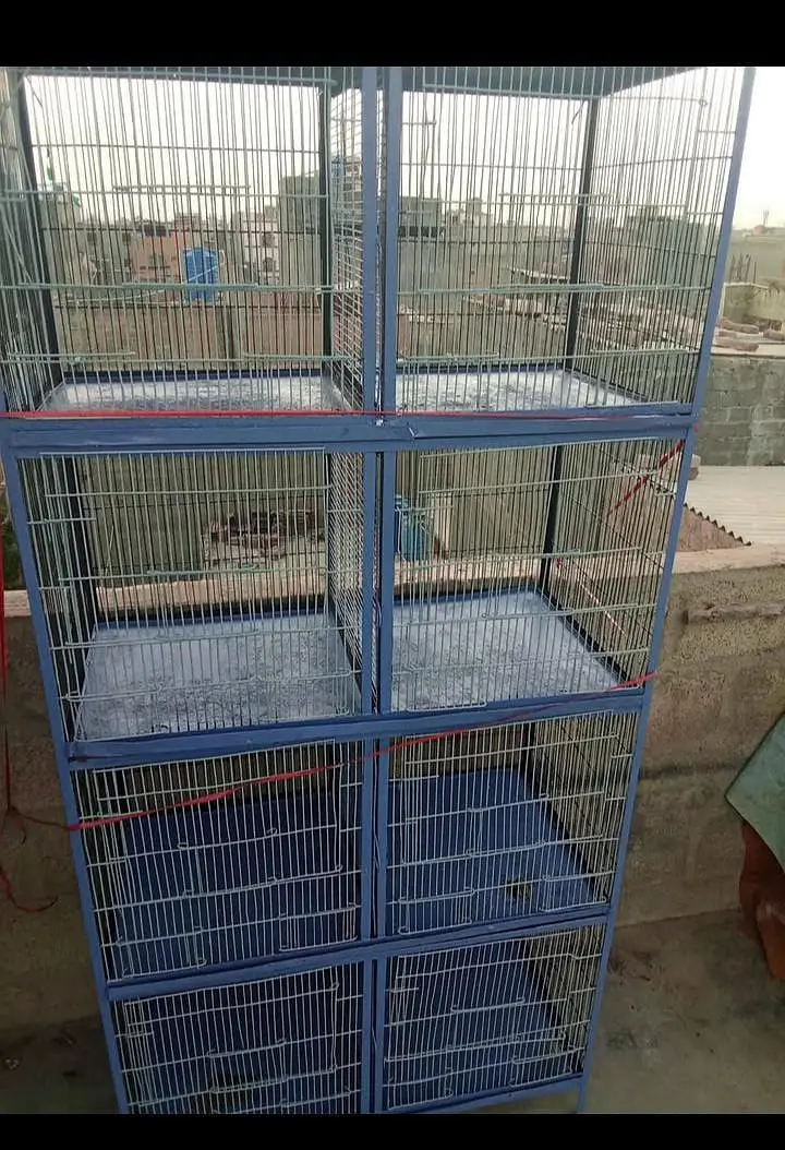 pinjra bird's Gage — photo 2