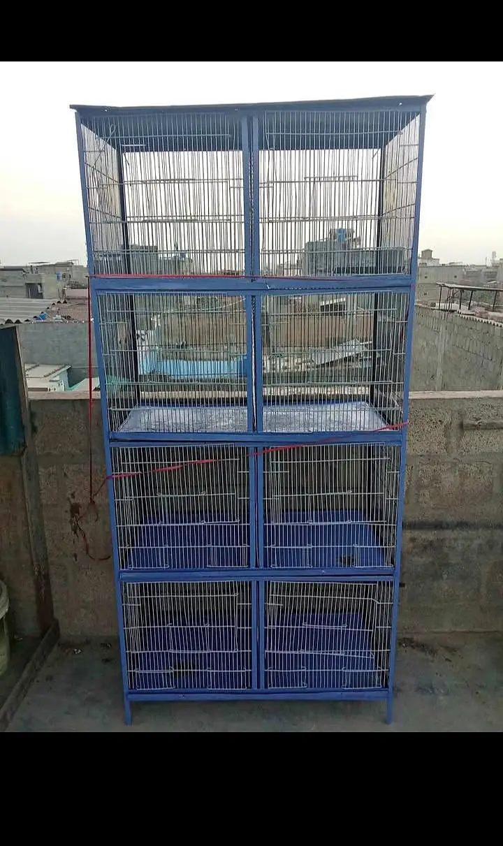 pinjra bird's Gage — photo 3