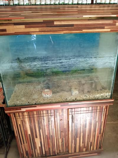 Fish Aquarium Tank with Wooden Cabinet Stand - Large Size