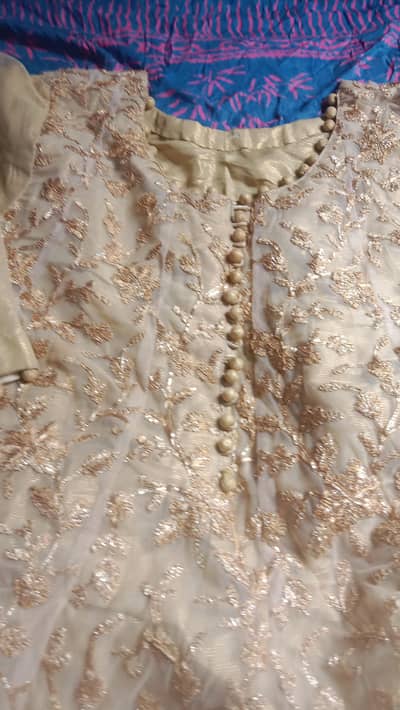 chiffon net suit