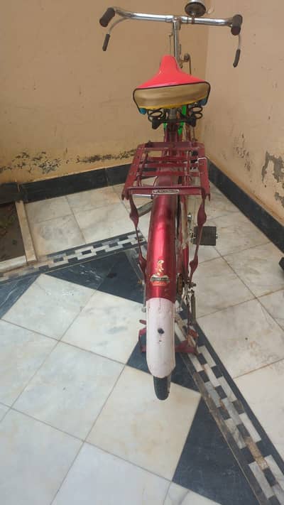 Sohrab cycle 18"