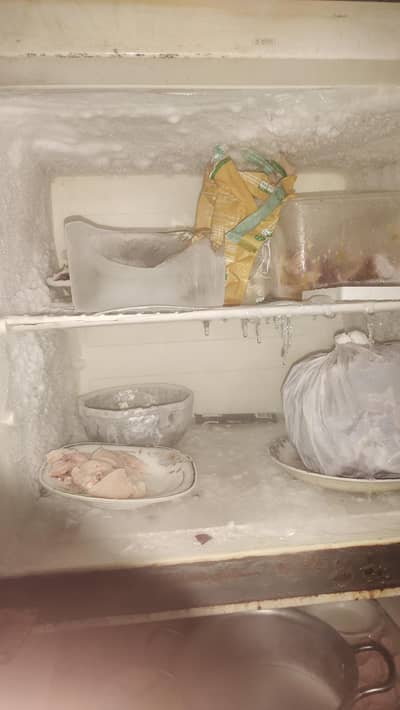 Electrolux fridge for sale