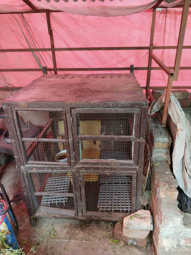 cage . . . 2