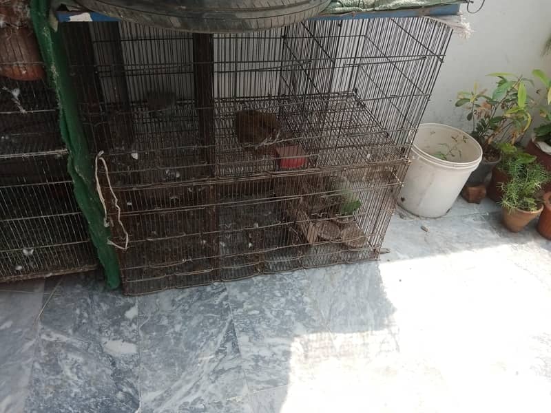 folding cage 0