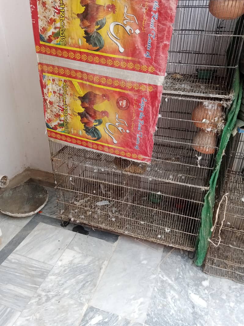 folding cage 1