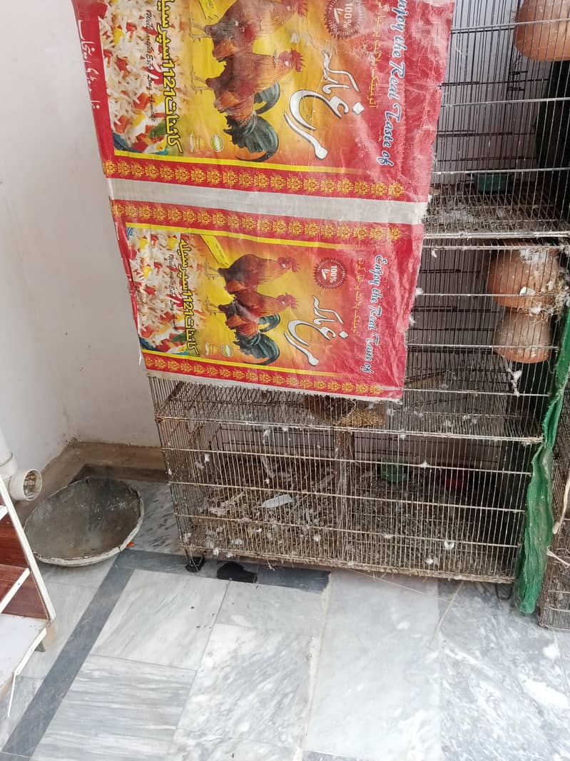 folding cage 2