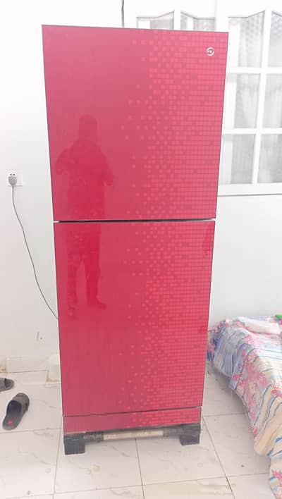 Pel Refrigerator 2 Door