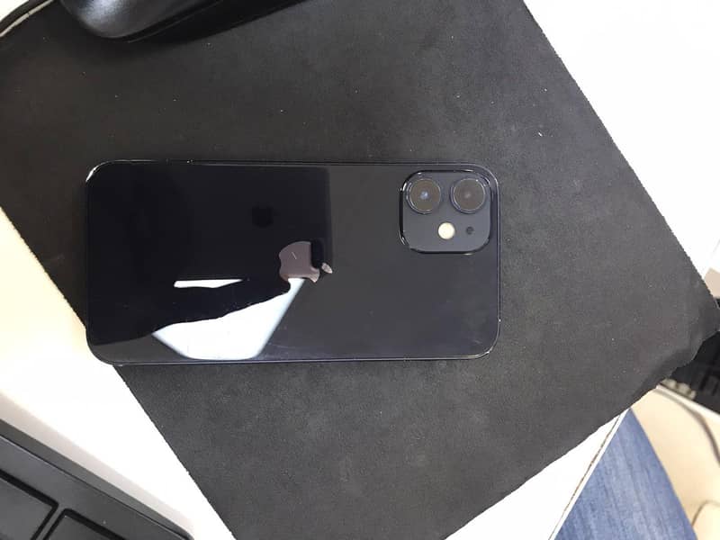 Apple iPhone 12 mini 1