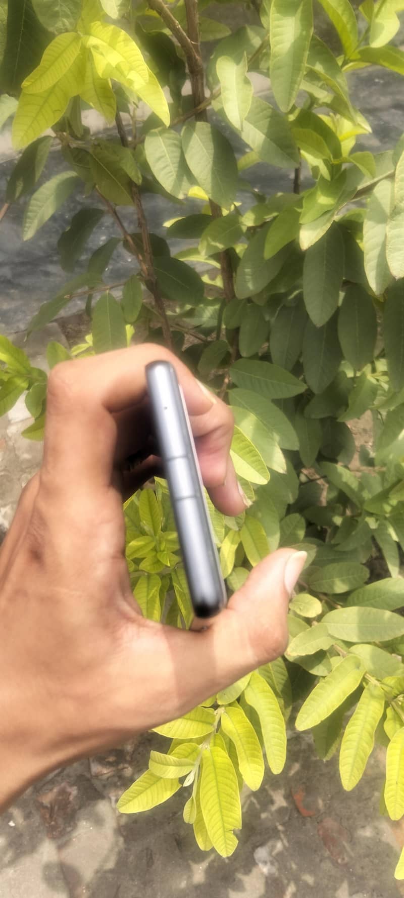 Google Pixel 7a 3