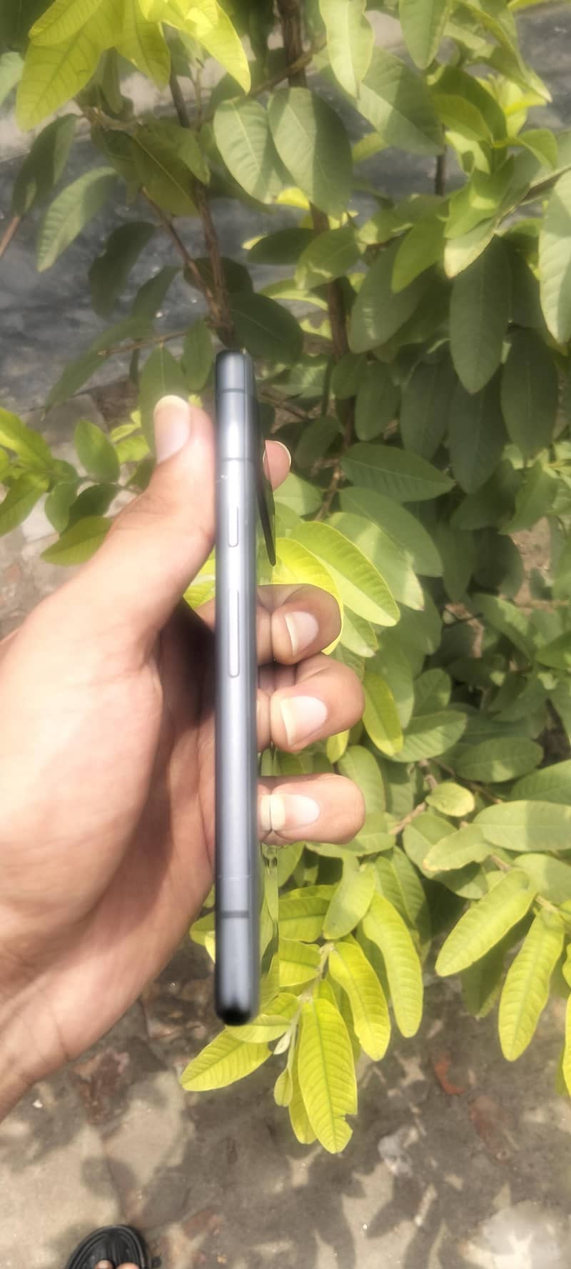 Google Pixel 7a 5