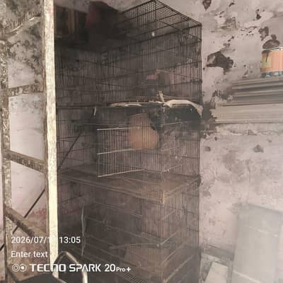 cage for sale size 18+36 inch tray ni hy