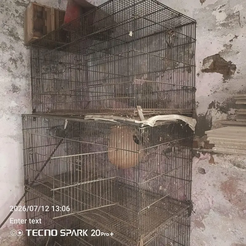 cage for sale size 18+36 inch tray ni hy — photo 2