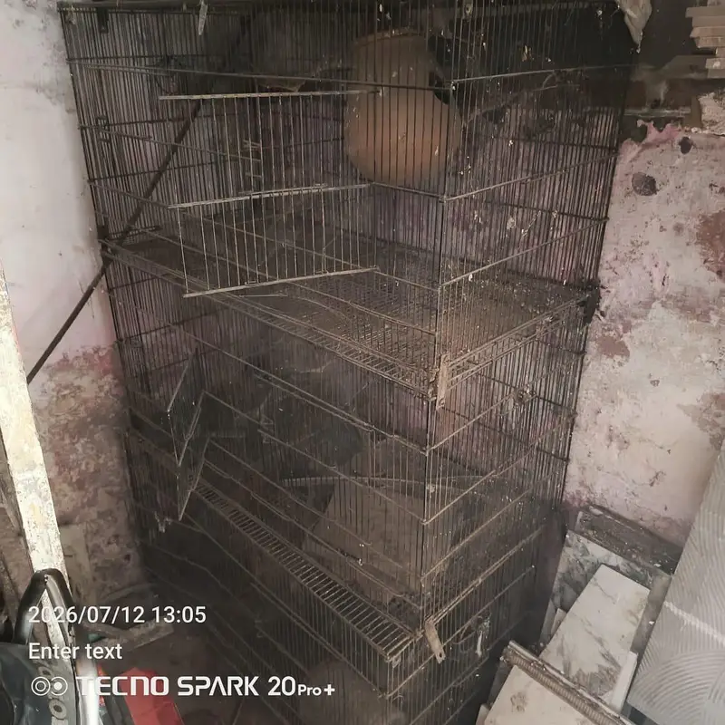 cage for sale size 18+36 inch tray ni hy — photo 3
