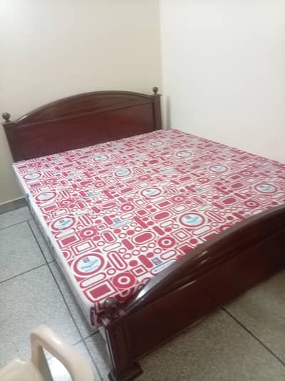 Master Molty Foam Mattress