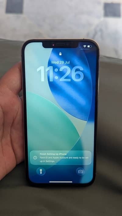 Apple iPhone 12 Pro Max