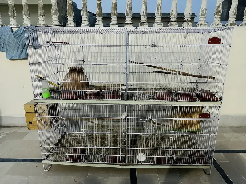 Bird cage 4 section — photo 2