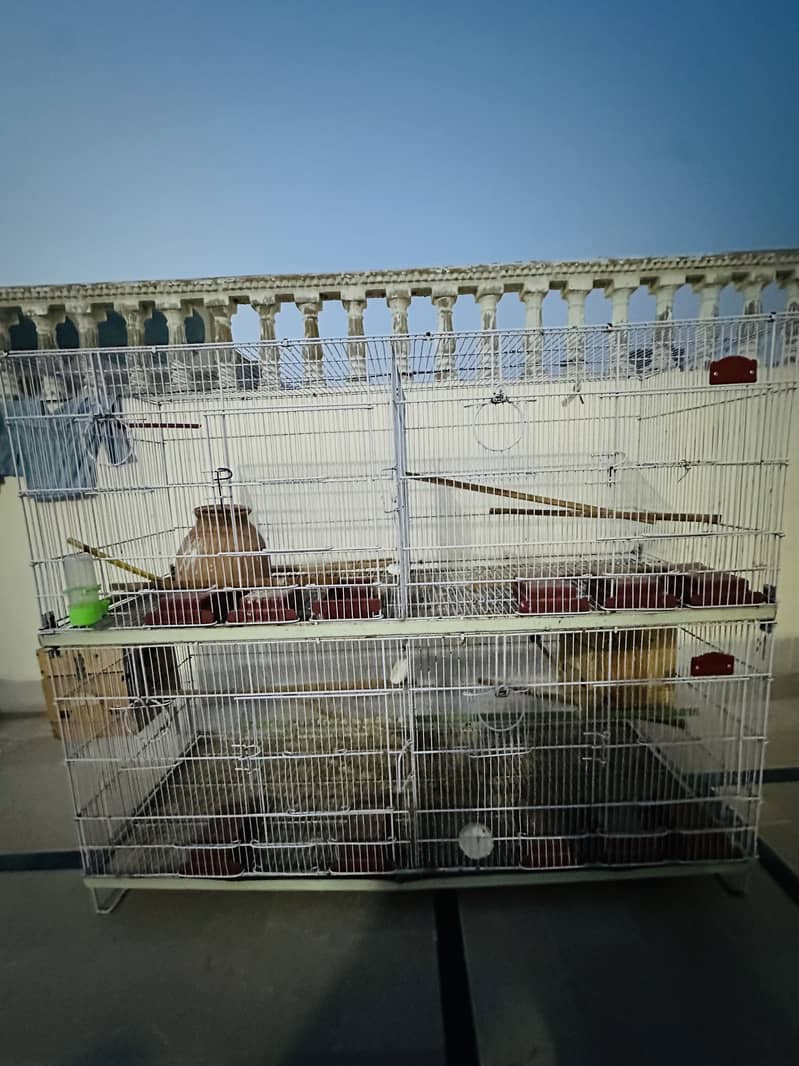 Bird cage 4 section 2