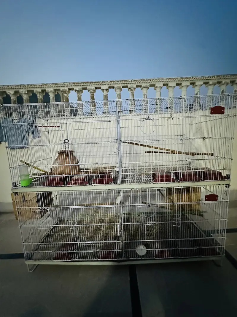 Bird cage 4 section — photo 3