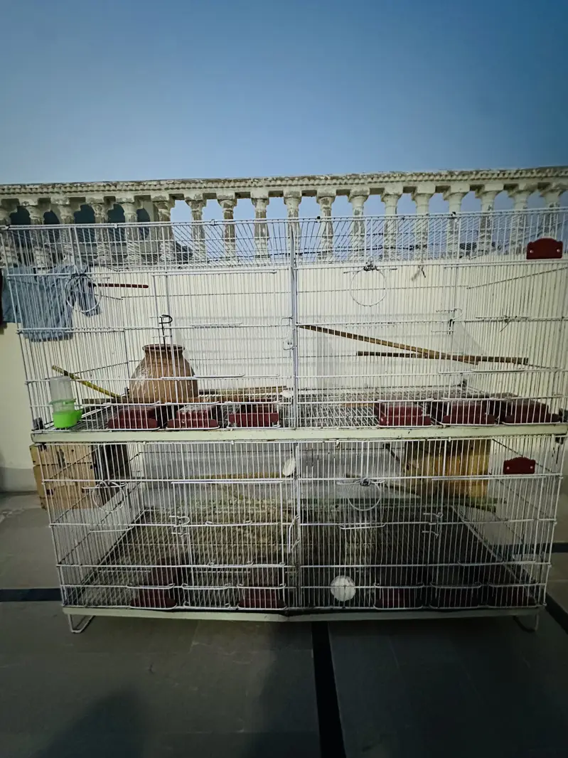 Bird cage 4 section — photo 4