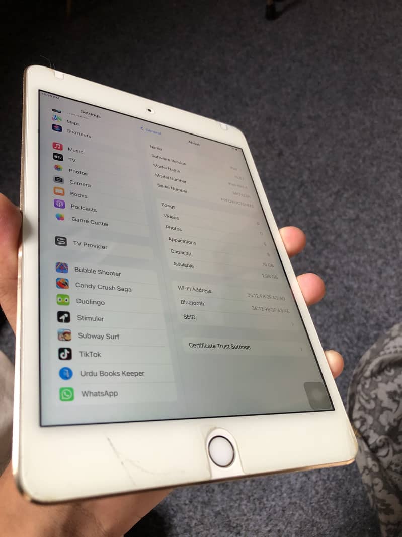 Apple iPad mini 4 5