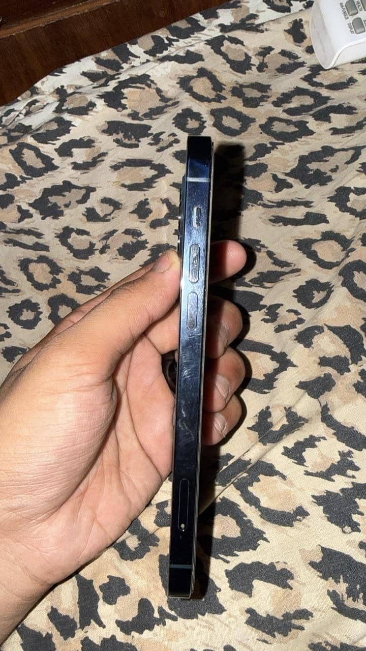 Apple iPhone 12 Pro 1